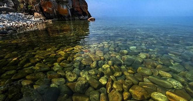 水越清就代表水质越好？水监测的黄金标准这三种丑虫子不简单！(图1)