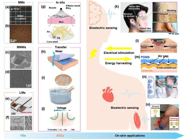 极端制造微纳结构金属电极：从柔性电极迈向超薄软表皮的进展(图1)