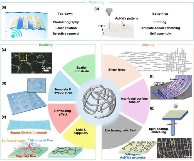 极端制造微纳结构金属电极：从柔性电极迈向超薄软表皮的进展(图3)